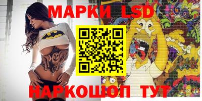 Альфа ПВП Ставрополь