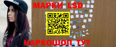 Альфа ПВП Ставрополь