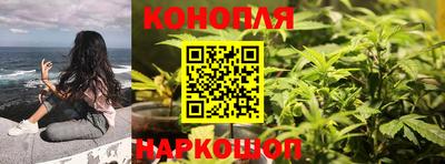 Альфа ПВП Ставрополь