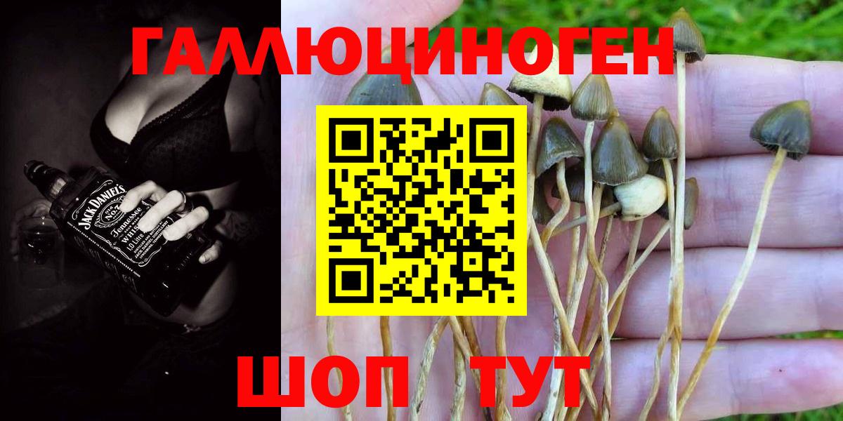 Галлюциногенные грибы Magic Shrooms Ногинск