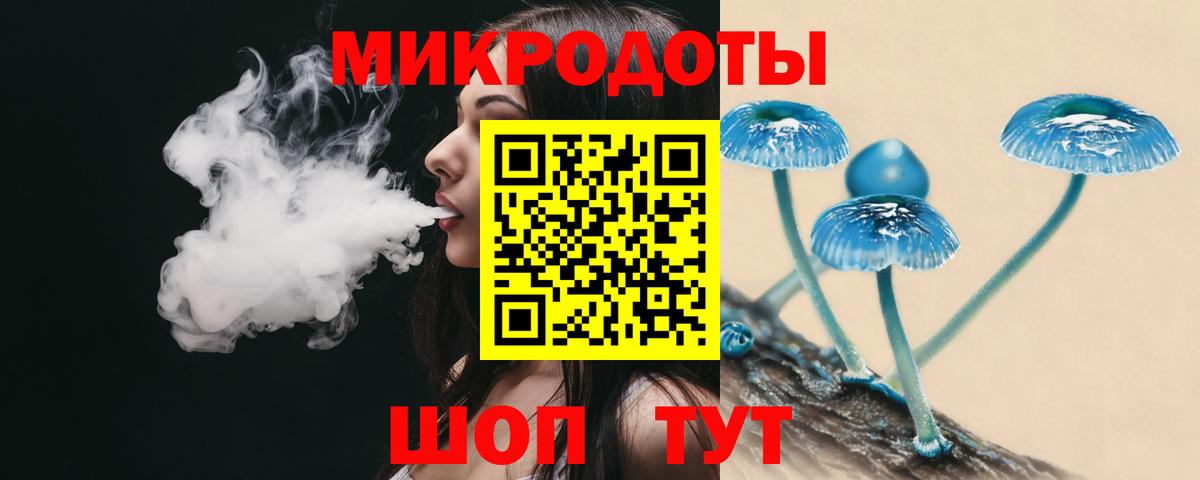 Псилоцибиновые грибы MAGIC MUSHROOMS  Галлюциногенные грибы Psilocybe  Ногинск  Вход с VPN 